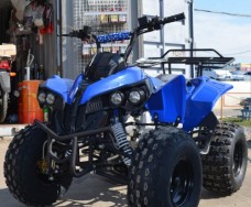 ATV FY 125 ST16 sportage синий