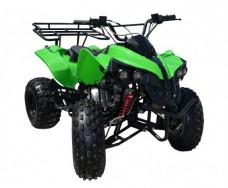 ATV FY 125 ST16 sportage зеленый