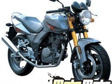 Wolf 250-2D