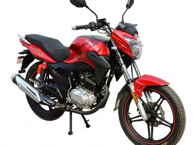 SkyBike ATOM 150