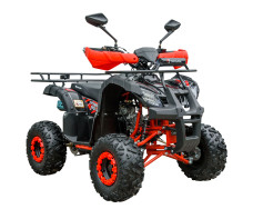 Квадроцикл SPARK SP110-4