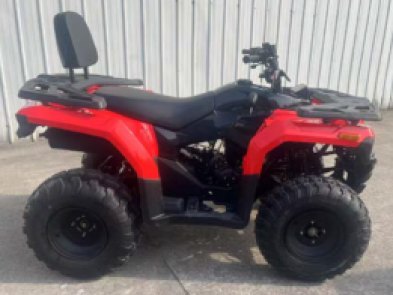 Квадроцикл FORTE ATV 200BS NEW