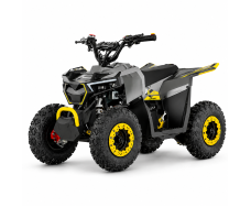 Электроквадроцикл FORTE FFG1000W