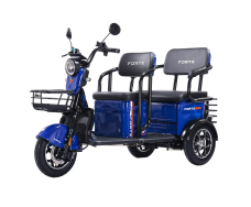 Электротрицикл FORTE TRANSIT-WN1072G
