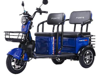 Електротрицикл FORTE TRANSIT-WN1072G