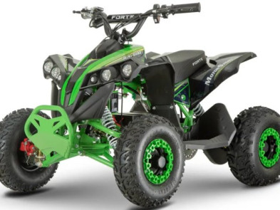 Электроквадроцикл FORTE ATV1200QB