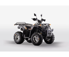 Квадроцикл FORTE ATV 200BS K