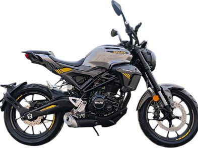 Мотоцикл SPARK SP250SC-3