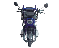 Электротрицикл FORTE CARGO-WS600
