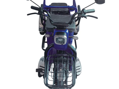 Электротрицикл FORTE CARGO-WS600