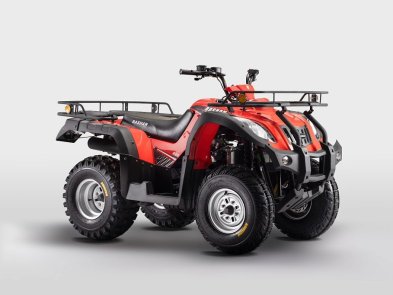 Квадроцикл FORTE ATV 250BS К PRO