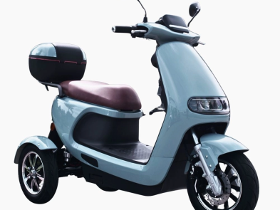 Електротрицикл MAGIC (M1) 650Вт 72В 32А·г VIGOROUS для людей похилого віку та людей з особливими потребами