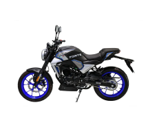 Мотоцикл FORTE FT250-CKP