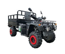 Квадроцикл FORTE ATV 250BS-T