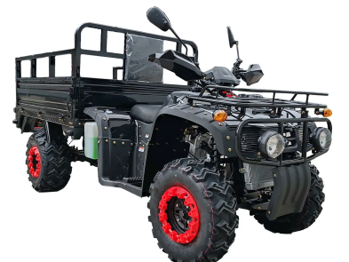 Квадроцикл FORTE ATV 250BS-T