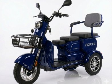Электротрицикл FORTE FAMILY-WN1072G