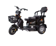 Электротрицикл FORTE FAMILY-WN600