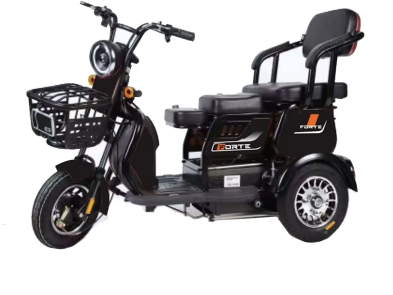Електротрицикл FORTE FAMILY-WN600