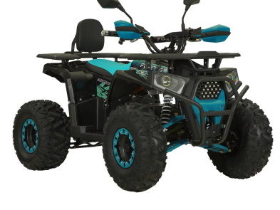 Електроквадроцикл FORTE ATV1000G