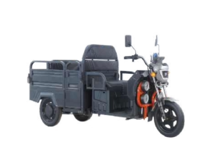 Електротрицикл вантажний FORTE GP-1000-D