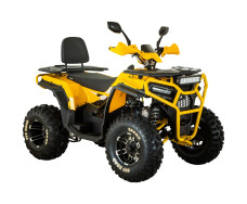 Квадроцикл SPARK SP200-5E