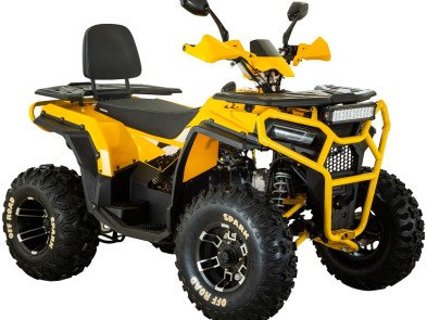 Квадроцикл SPARK SP200-5E