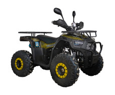 Квадроцикл SPARK SP125-12