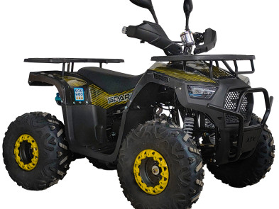 Квадроцикл SPARK SP125-12