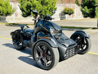 BRP Can-Am Ryker 900 2019 год (700 км)