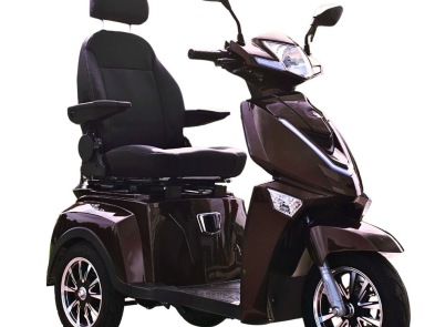 Електротрицикл VISTA-3 (T408-3) 1000Вт 60В 20А·г VIGOROUS для людей похилого віку та людей з особливими потребами