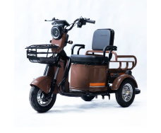 Электротрицикл FORTE CARGO-P650