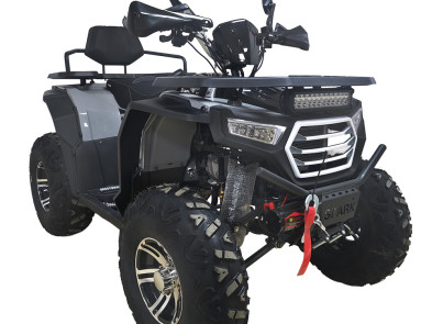 Квадроцикл SPARK SP200-11Е