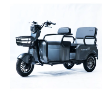 Электротрицикл FORTE CARGO-WN800