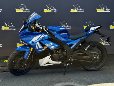Мотоцикл RIDER IRON 250CC