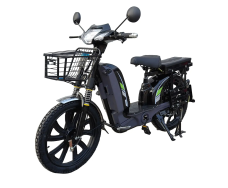 Электровелоскутер FORTE EM 219WS