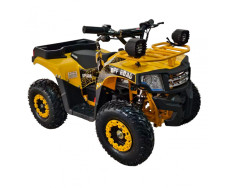 Электроквадроцикл SPARK Junior 1000w