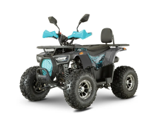 Квадроцикл FORTE ATV 150P