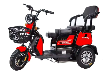 Электротрицикл FORTE FAMILY-WN800