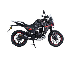 Мотоцикл SPARK SP300T-9