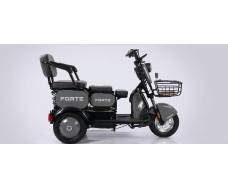 Электротрицикл FORTE FAMILY-WN1060