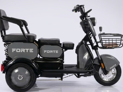 Электротрицикл FORTE FAMILY-WN1060