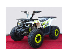 Forte Hunter 125