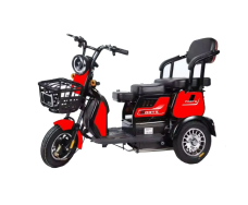 Электротрицикл FORTE FAMILY-WS600