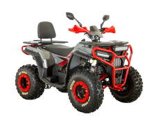 Квадроцикл SPARK SP200-5