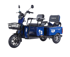 Электротрицикл FORTE CARGO-WN1072G