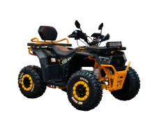 Электроквадроцикл SPARK Hornet 3000w