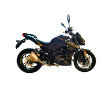 Мотоцикл SPARK SP300R- 41