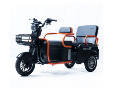 Электротрицикл FORTE CARGO-P800