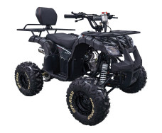 Квадроцикл SPARK BUG 110