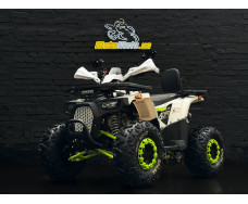 Квадроцикл SPARK SP125-9